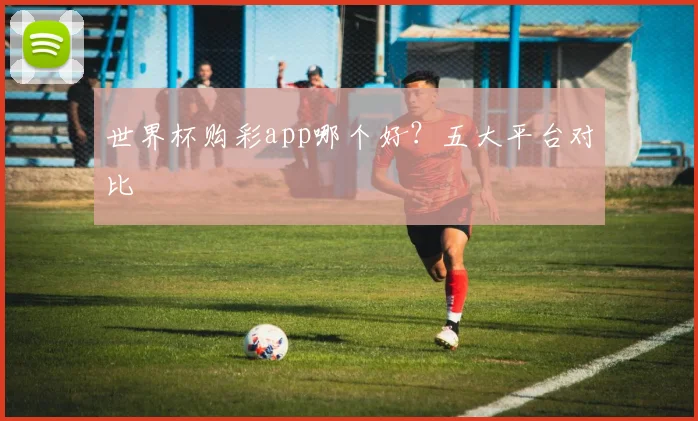 世界杯购彩app哪个好？五大平台对比