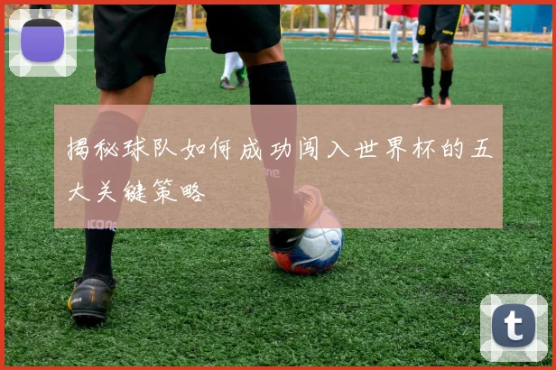 揭秘球队如何成功闯入世界杯的五大关键策略