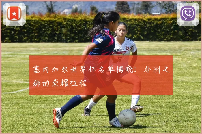 塞内加尔世界杯名单揭晓：非洲之狮的荣耀征程