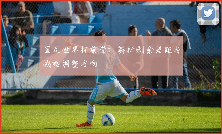 国足世界杯前景：解析剩余差距与战略调整方向