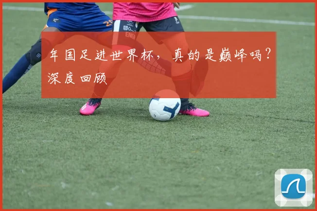 年国足进世界杯，真的是巅峰吗？深度回顾