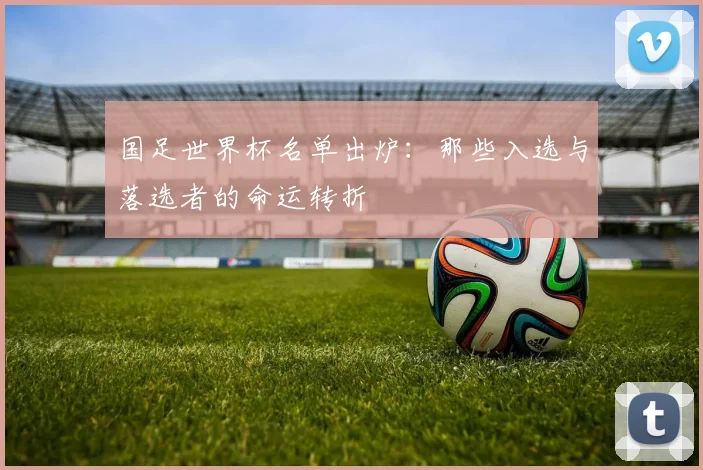国足世界杯名单出炉：那些入选与落选者的命运转折