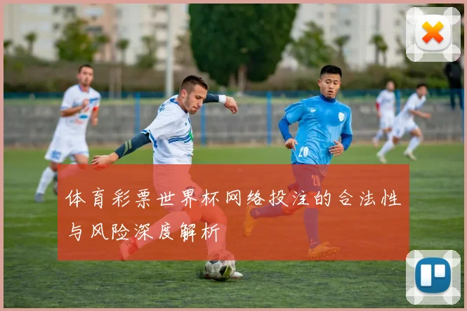 体育彩票世界杯网络投注的合法性与风险深度解析