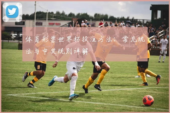体育彩票世界杯投注方法：常见玩法与中奖规则详解